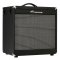 Ampeg PF-210HE Portaflex with Horn