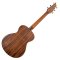 BREEDLOVE DISCOVERY S COMPANION RED CEDAR - AFRICAN MAHOGANY