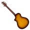BREEDLOVE PURSUIT EXOTIC S COMPANION TIGER'S EYE CE