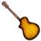 BREEDLOVE PURSUIT EXOTIC S CONCERTINA TIGER'S EYE CE