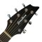 BREEDLOVE RAINFOREST S CONCERT ORCHID CE