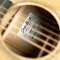 Breedlove Oregon Concert CE Myrtlewood – Myrtlewood
