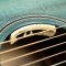 Breedlove Oregon Concert Mojito CE LTD Myrtlewood - Myrtlewood