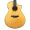 Breedlove Performer Pro Concerto Aged Toner CE European-African Mahogany