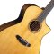 Breedlove Performer Pro Concerto Aged Toner CE European-African Mahogany