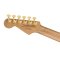 Charvel Pro-Mod DK22 SSS 2PT CM - Natural