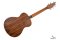 BREEDLOVE DISCOVERY S CONCERTINA RED CEDAR - AFRICAN MAHOGANY