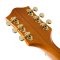 Gretsch G6120T-55GE Vintage Select 1955 Chet Atkins - Western Orange Stain, Bigsby