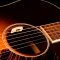 L.R. Baggs Anthem SL