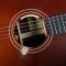 Lakewood M-32 Custom Wine Translucent Relic