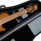 Mayones Cali 4 Flamed Maple 3A T.E.W