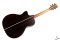 Lakewood Sungha Jung Signature
