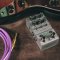 Walrus Audio Mako Series D1 V.2
