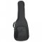 Reunion Blues  Voyager Small Body Acoustic Case