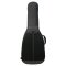 Reunion Blues  Voyager Small Body Acoustic Case
