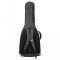 Reunion Blues  Voyager Small Body Acoustic Case
