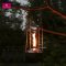 Angel Torch - M2 4S (Black) + Wooden Pole