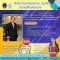 รายการ “ศาลปกครองพบประชาชน” วันจันทร์ที่ 3 สิงหาคม 2563 เวลา 19.30-20.00 น.