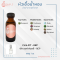 CH 6 FIT - REP / ฟิต ออฟ ฟอลลี - REP