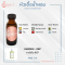 GARDEN - REP / การ์เด้น REP