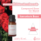 Geranium Base 15 ml