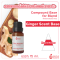 Ginger Scent Base 15 ml