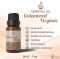 Cedarwood Virginia Essential Oil / น้ำมันหอมระเหย ซีดาร์วูด เวอร์จิเนีย / Cedarwood Virginia Oil 30 ml