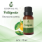 Petitgrain Essential Oil / น้ำมันหอมระเหย เพตดิเกรน / Petitgrain Oil 10 ml