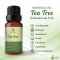 Tea Tree Essential Oil / น้ำมันหอมระเหย ที ทรี / Tea Tree Oil 1 oz