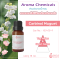 Carbinol Muguet 15 ml