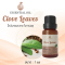 Clove Leaves Essential Oil / น้ำมันหอมระเหย ใบกานพลู / Clove Leaves Oil 1 oz