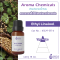 Ethyl Linalool 15 ml
