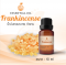 Frankincense Essential Oil (Natural Blend) / น้ำมันหอมระเหย กำยาน / Frankincense Oil / 10 ml