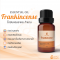 Frankincense Essential Oil (Natural Blend) / น้ำมันหอมระเหย กำยาน / Frankincense Oil / 10 ml
