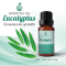 Eucalyptus Essential Oil / น้ำมันหอมระเหย ยูคาลิปตัส / Eucalyptus Oil 1 oz