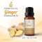 Ginger Essential Oil / น้ำมันหอมระเหย ขิง / Ginger Oil / 1 oz