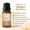 Ginger Essential Oil / น้ำมันหอมระเหย ขิง / Ginger Oil / 1 oz