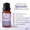 Lavander Essential Oil / น้ำมันหอมระเหย ลาเวนเดอร์ / Lavander Oil / 1 oz