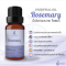Rosemary Essential Oil / น้ำมันหอมระเหย โรสแมรี่ / Rosemary Oil 1 oz