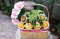 Fruity Garden A