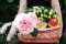 Fruity Garden C