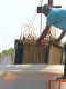 Hollow Fiber Membrane แบบ PVDF ,การผลิตน้ำประปา และเพื่อการบำบัดน้ำเสีย