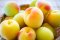 Lin Ume Plum