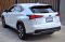 NX300H