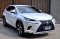 NX300H