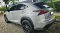 NX300h