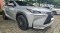NX300h
