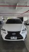 NX300h