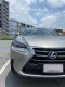 NX300h
