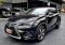 NX300h